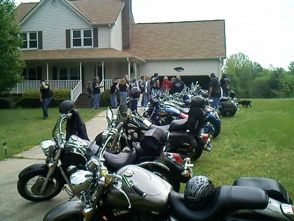 Who let the dogs out?