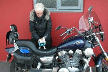 dutch tractor riders