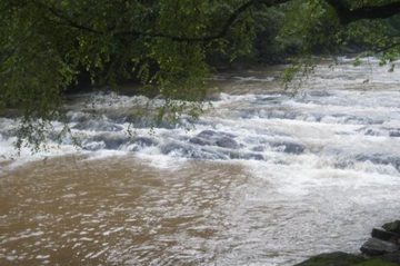 ALL PHOTOS WITHIN ARE COURTESY OF MIKE BRITT UNLESS PICS ARE TITLED OTHERWISE !