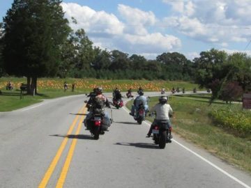 Butch -And- Chewy MLR 2014