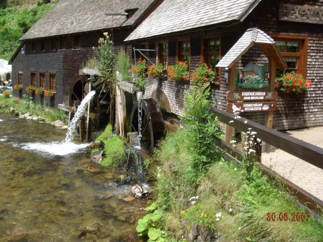 house in black forest