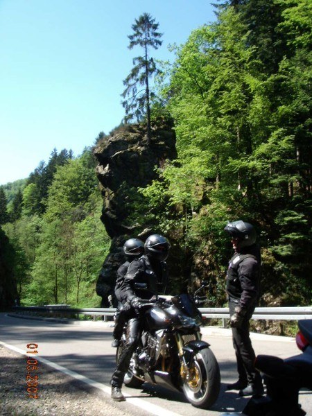 roko-C- sandy -And- benno